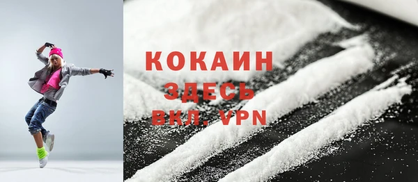 mdpv Дмитриев