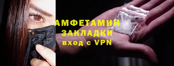 PSILOCYBIN Ельня