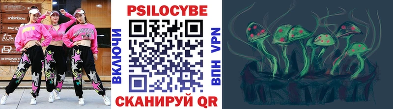 Купить  Севастополь  Псилоцибиновые грибы Cubensis 